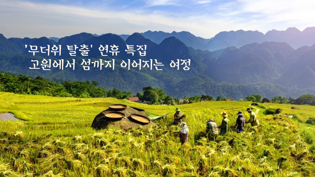 ‘무더위 탈출’ 연휴 특집 – 고원에서 섬까지 이어지는 여정